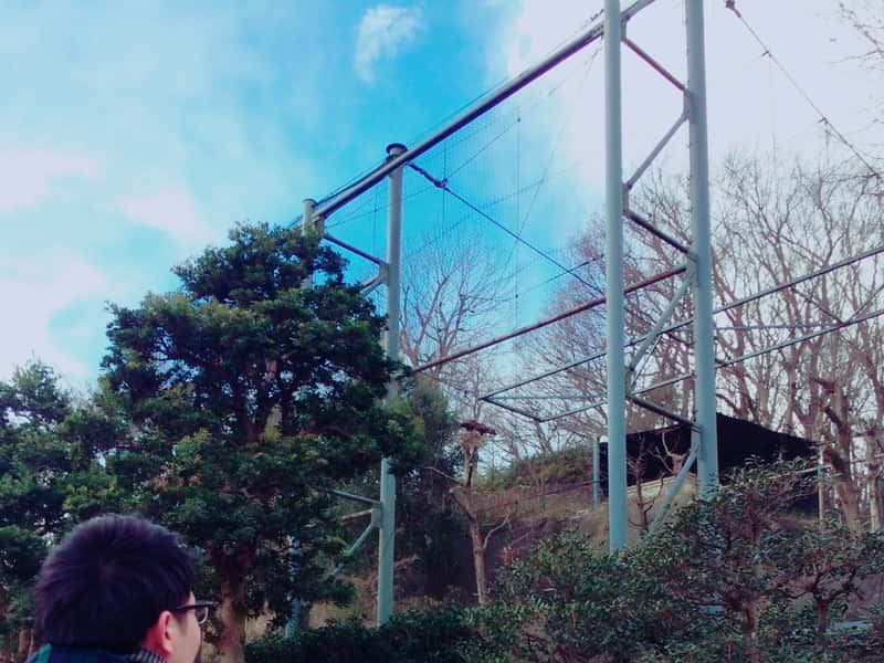 東京都多摩動物公園 ワシ